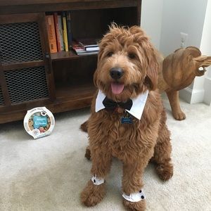 Meet your Posher, Daniel